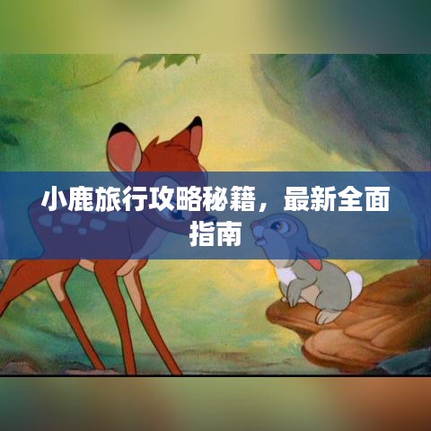 小鹿旅行攻略秘籍，最新全面指南