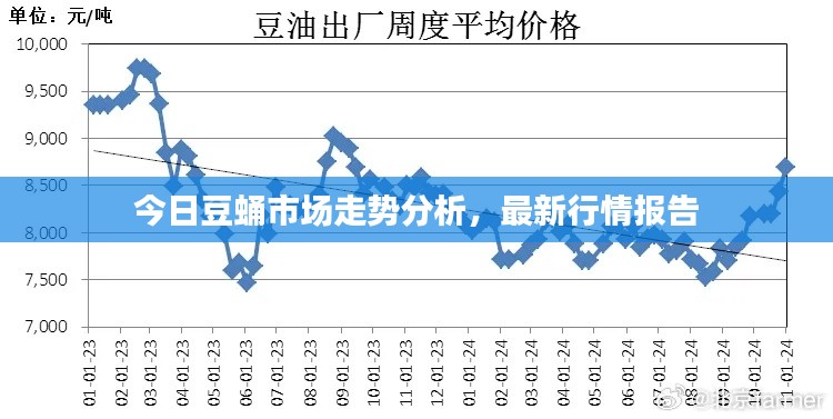 今日豆蛹市場(chǎng)走勢(shì)分析，最新行情報(bào)告