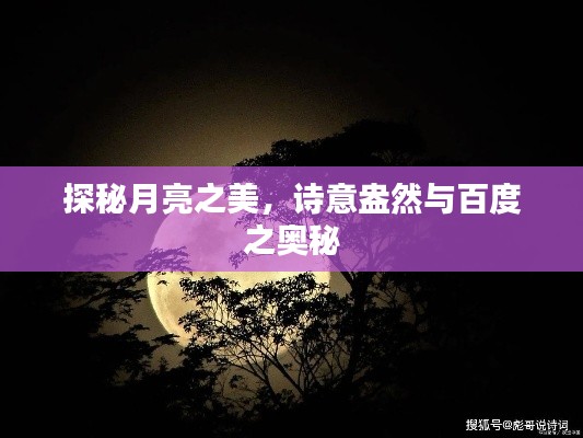 政策法規(guī) 第43頁(yè)