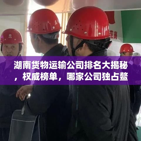 湖南貨物運輸公司排名大揭秘，權(quán)威榜單，哪家公司獨占鰲頭？