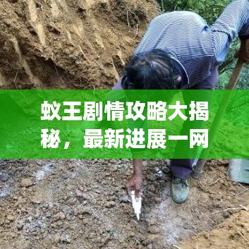 蟻王劇情攻略大揭秘，最新進展一網(wǎng)打盡！