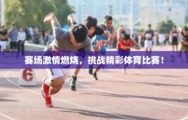 賽場激情燃燒，挑戰(zhàn)精彩體育比賽！