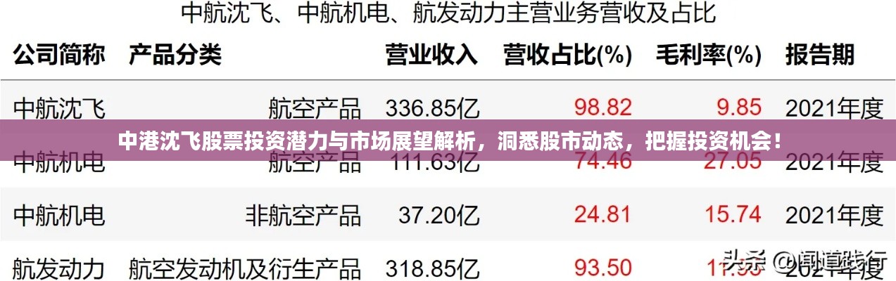 中港沈飛股票投資潛力與市場(chǎng)展望解析，洞悉股市動(dòng)態(tài)，把握投資機(jī)會(huì)！