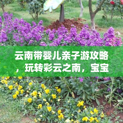 云南帶嬰兒親子游攻略，玩轉彩云之南，寶寶也能享受無限樂趣！