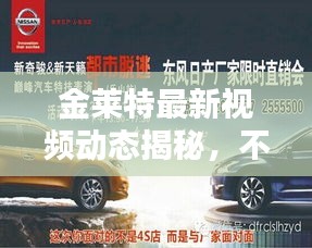 金萊特最新視頻動態(tài)揭秘，不容錯過！