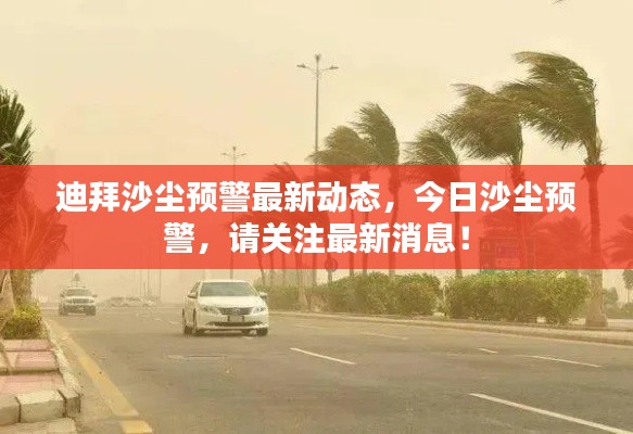 迪拜沙塵預警最新動態(tài)，今日沙塵預警，請關注最新消息！