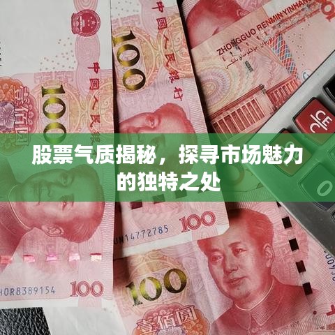 股票氣質(zhì)揭秘，探尋市場魅力的獨特之處