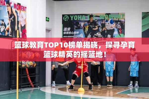 籃球教育TOP10榜單揭曉，探尋孕育籃球精英的搖籃地！