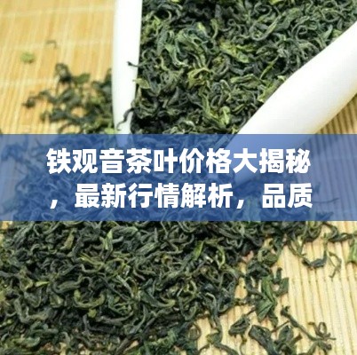 鐵觀音茶葉價格大揭秘，最新行情解析，品質(zhì)與價格雙重保障！