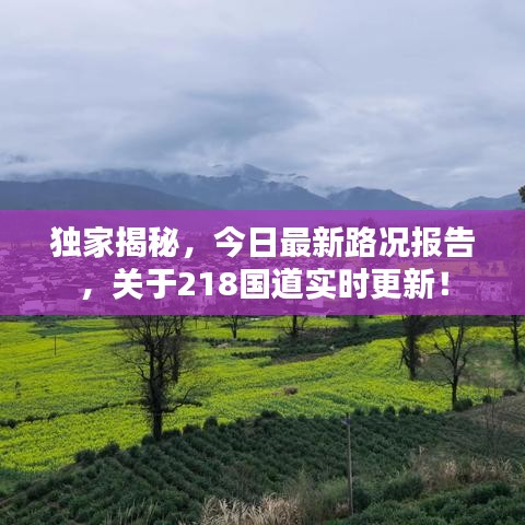 獨家揭秘，今日最新路況報告，關(guān)于218國道實時更新！