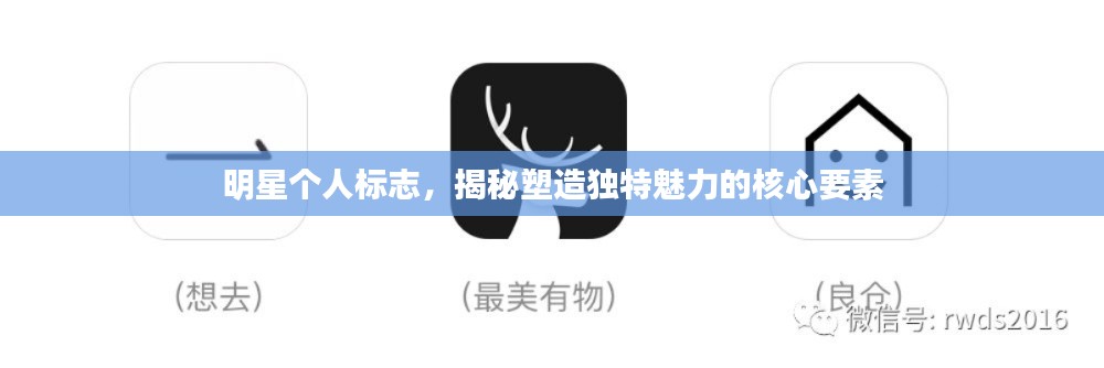明星個人標志，揭秘塑造獨特魅力的核心要素