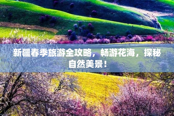 新疆春季旅游全攻略，暢游花海，探秘自然美景！