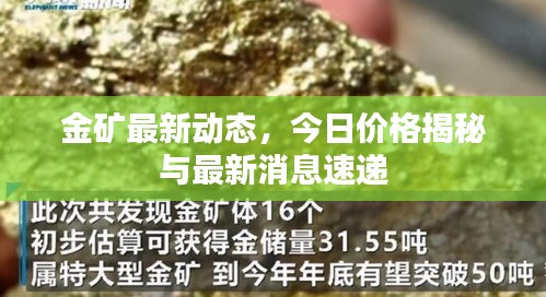 金礦最新動態(tài)，今日價格揭秘與最新消息速遞