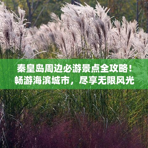 秦皇島周邊必游景點(diǎn)全攻略！暢游海濱城市，盡享無限風(fēng)光