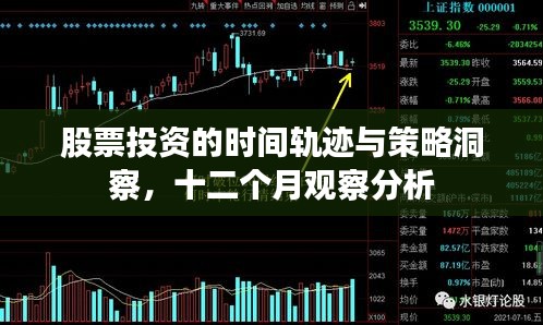 股票投資的時間軌跡與策略洞察，十二個月觀察分析