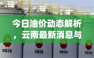 今日油價動態(tài)解析，云南最新消息與全球影響因素一網(wǎng)打盡