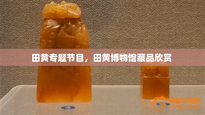田黃專題節(jié)目，田黃博物館藏品欣賞 