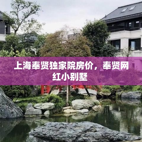上海奉賢獨家院房價，奉賢網紅小別墅 