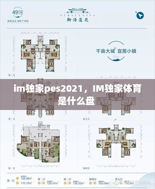 im獨(dú)家pes2021，IM獨(dú)家體育是什么盤 
