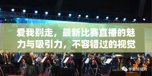 愛我別走，最新比賽直播的魅力與吸引力，不容錯過的視覺盛宴！