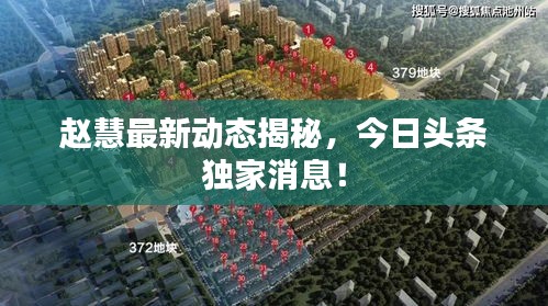 趙慧最新動態(tài)揭秘，今日頭條獨(dú)家消息！