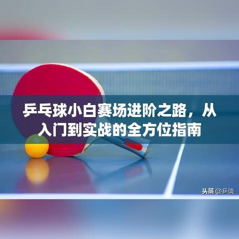 乒乓球小白賽場進(jìn)階之路，從入門到實戰(zhàn)的全方位指南