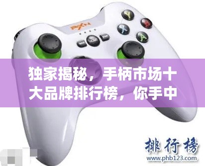 獨家揭秘，手柄市場十大品牌排行榜，你手中的手柄上榜了嗎？