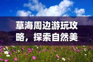 草海周邊游玩攻略，探索自然美景，盡享愜意之旅！