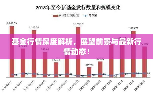 基金行情深度解析，展望前景與最新行情動(dòng)態(tài)！