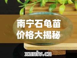 南寧石龜苗價格大揭秘，最新行情分析！