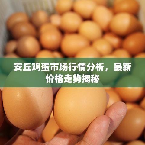 安丘雞蛋市場行情分析，最新價格走勢揭秘
