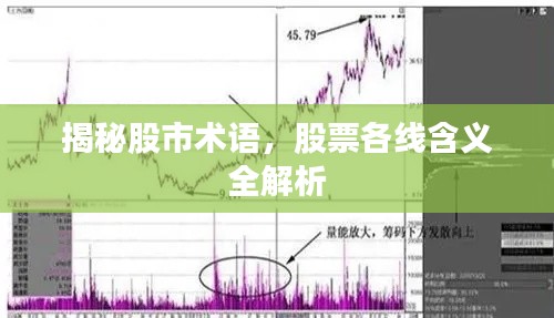 揭秘股市術(shù)語(yǔ)，股票各線含義全解析
