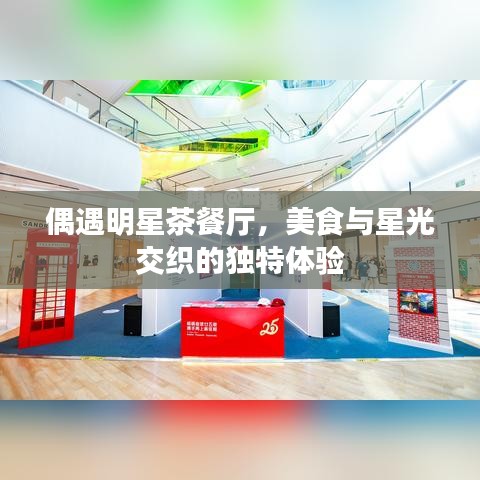 偶遇明星茶餐廳，美食與星光交織的獨特體驗