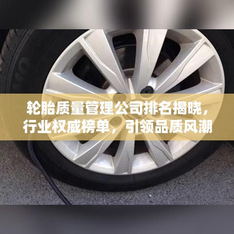 輪胎質(zhì)量管理公司排名揭曉，行業(yè)權(quán)威榜單，引領(lǐng)品質(zhì)風(fēng)潮！