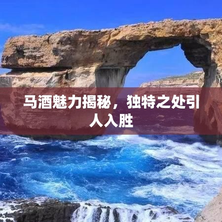 馬酒魅力揭秘，獨特之處引人入勝