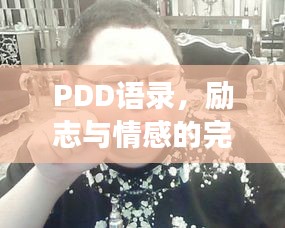 PDD語錄，勵志與情感的完美交融之道