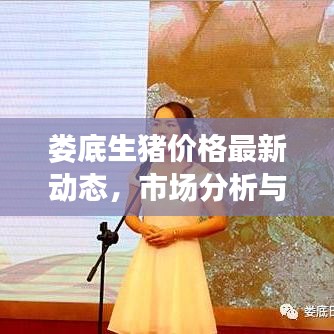 婁底生豬價(jià)格最新動(dòng)態(tài)，市場分析與趨勢預(yù)測