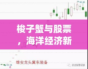 梭子蟹與股票，海洋經(jīng)濟(jì)新風(fēng)口！