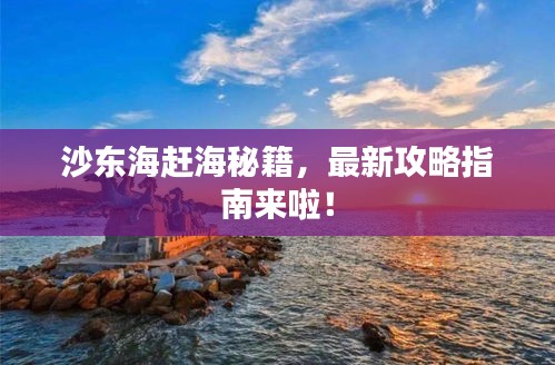 沙東海趕海秘籍，最新攻略指南來啦！
