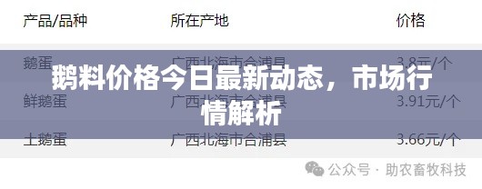 鵝料價格今日最新動態(tài)，市場行情解析