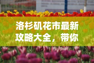 洛杉磯花市最新攻略大全，帶你暢游花海世界！