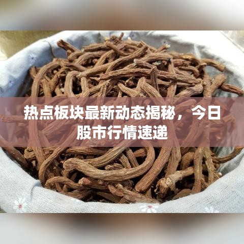 熱點(diǎn)板塊最新動(dòng)態(tài)揭秘，今日股市行情速遞