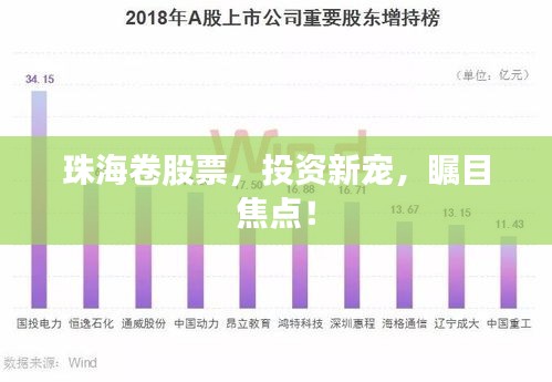 珠海卷股票，投資新寵，矚目焦點(diǎn)！