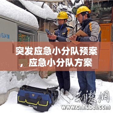 突發(fā)應(yīng)急小分隊(duì)預(yù)案，應(yīng)急小分隊(duì)方案 