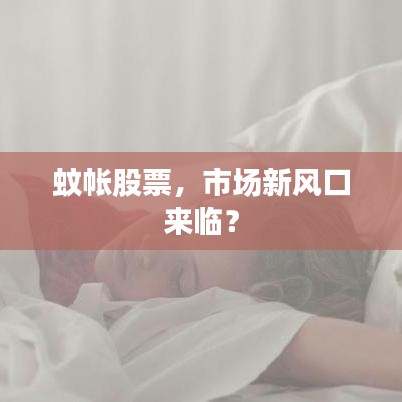 蚊帳股票，市場新風口來臨？