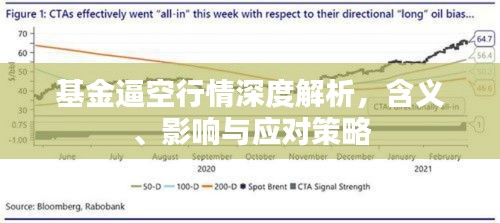 基金逼空行情深度解析，含義、影響與應對策略