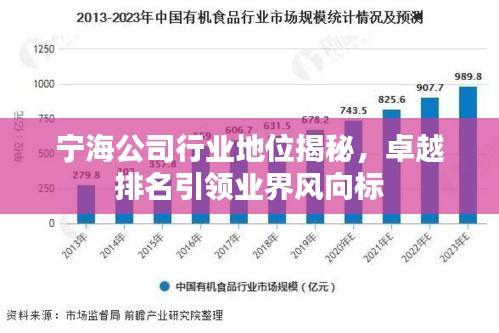 寧海公司行業(yè)地位揭秘，卓越排名引領(lǐng)業(yè)界風(fēng)向標(biāo)