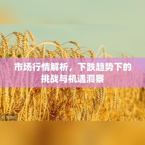 市場行情解析，下跌趨勢下的挑戰(zhàn)與機遇洞察