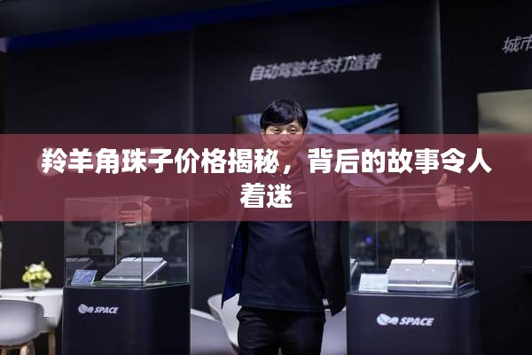 羚羊角珠子價(jià)格揭秘，背后的故事令人著迷