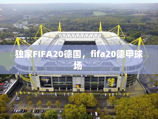 獨(dú)家FIFA20德國，fifa20德甲球場 